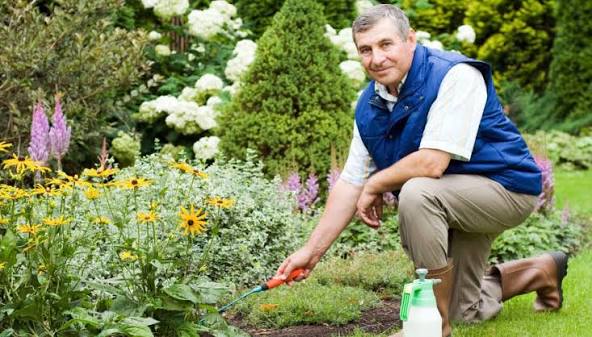 Gardener in Portsmouth