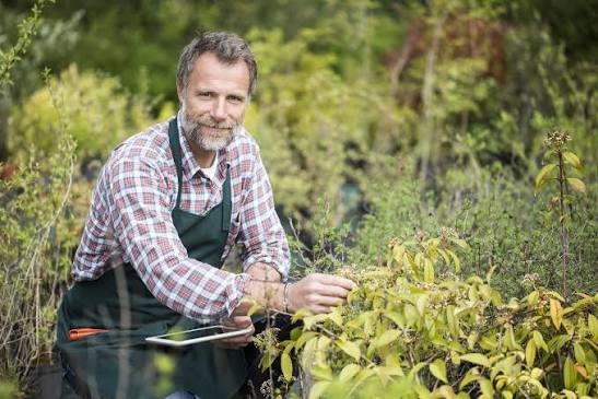 Gardener in Portsmouth